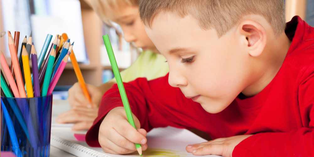 Tampa Bay Area School Information image